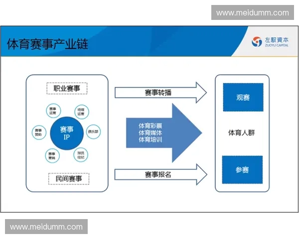 体育赛事转播权的争夺与市场变革对行业未来发展的深远影响