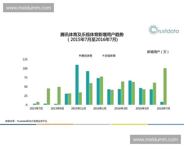体育品牌授权管理策略与市场价值提升研究探索
